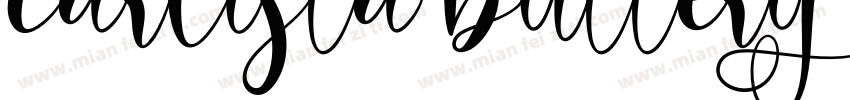 carlista buttery字体字体转换
